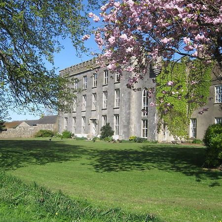 Ash Hill B & B Kilmallock Buitenkant foto