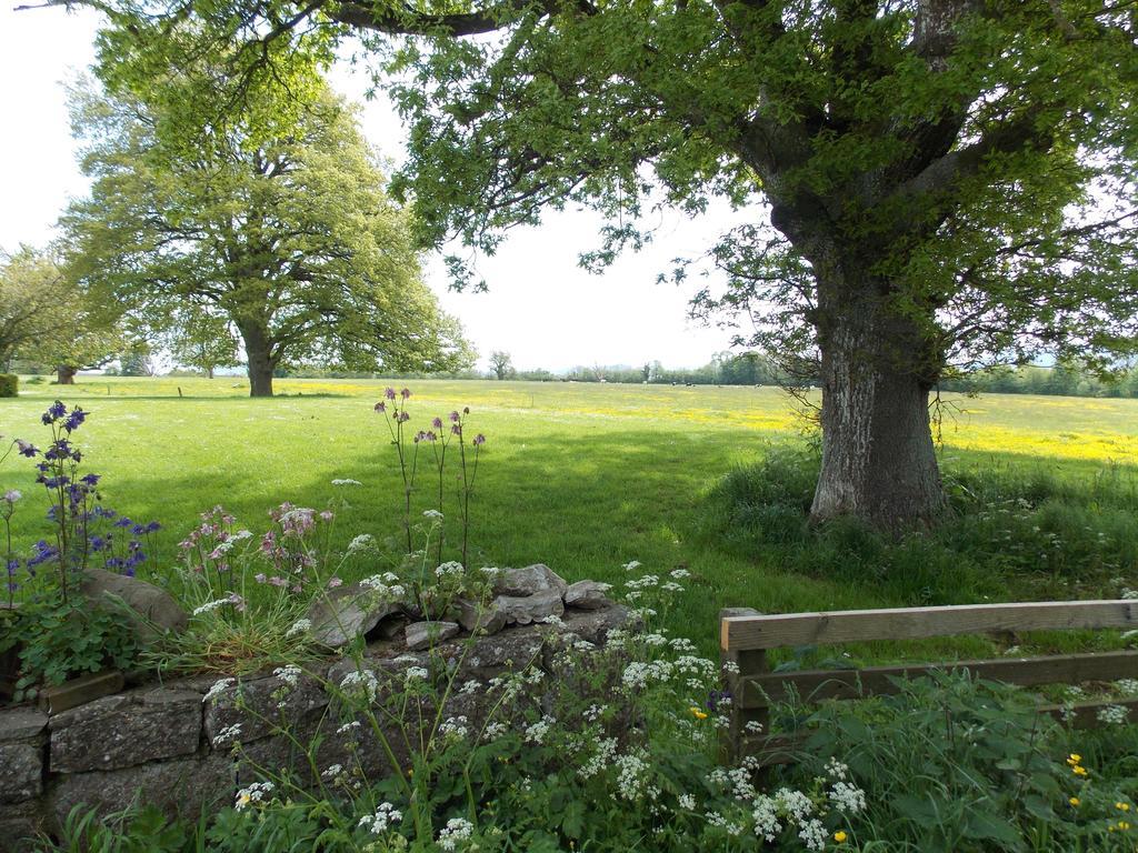 Ash Hill B & B Kilmallock Kamer foto