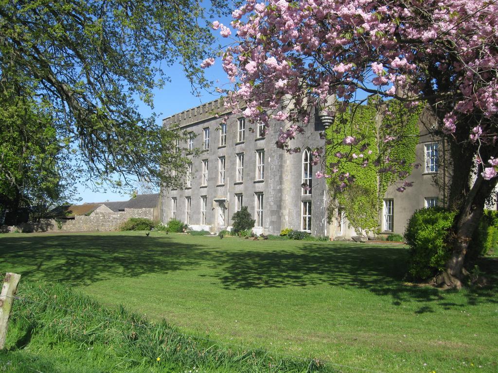 Ash Hill B & B Kilmallock Buitenkant foto