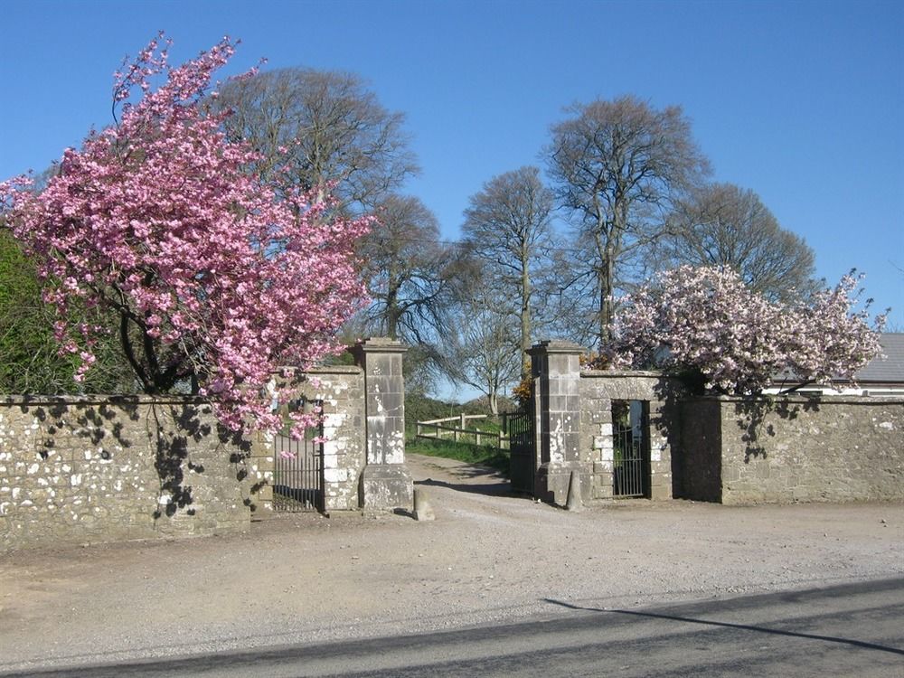 Ash Hill B & B Kilmallock Buitenkant foto